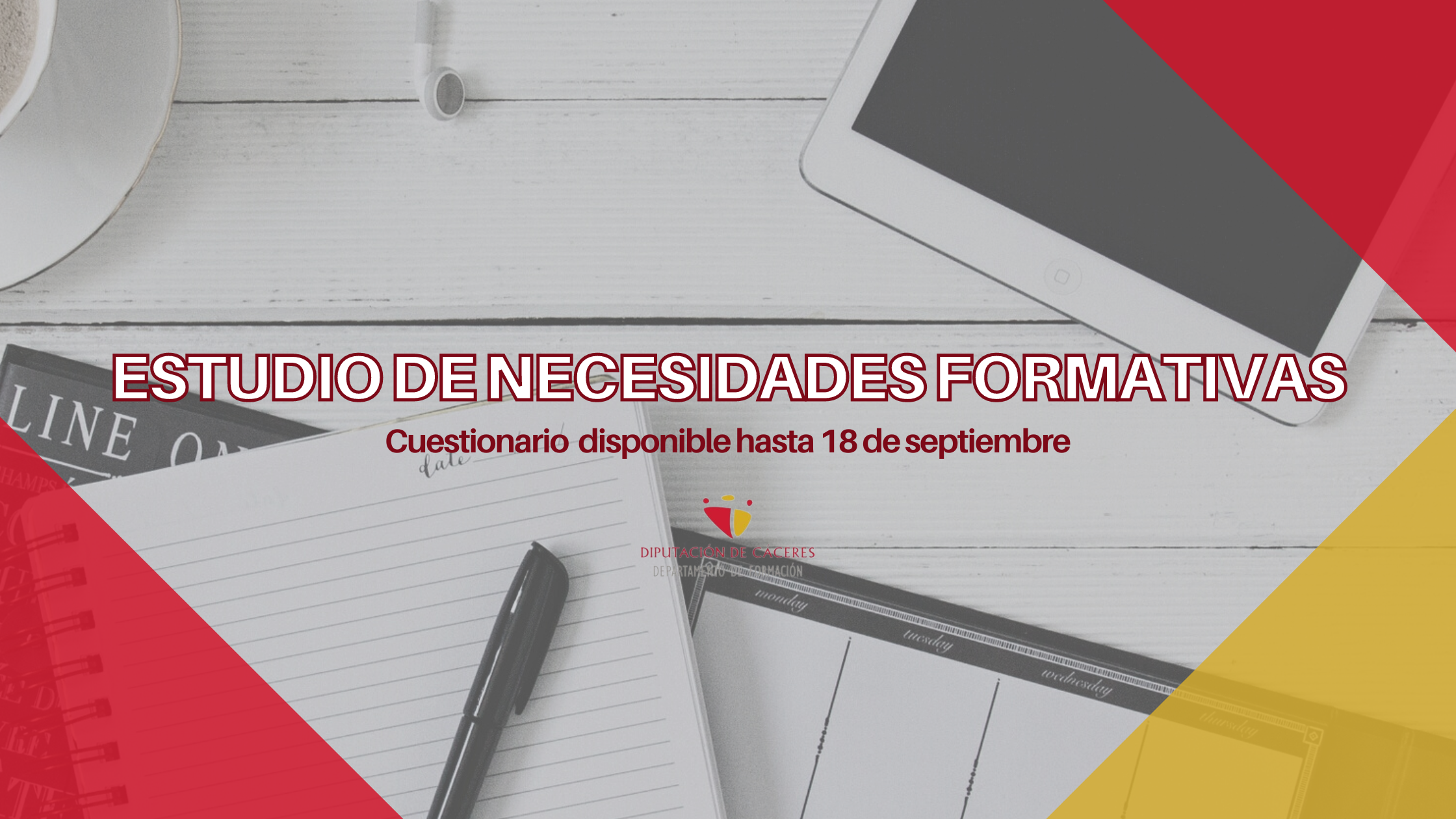 Puesta en marcha del Estudio de necesidades formativas para el Plan de Formación 2024
